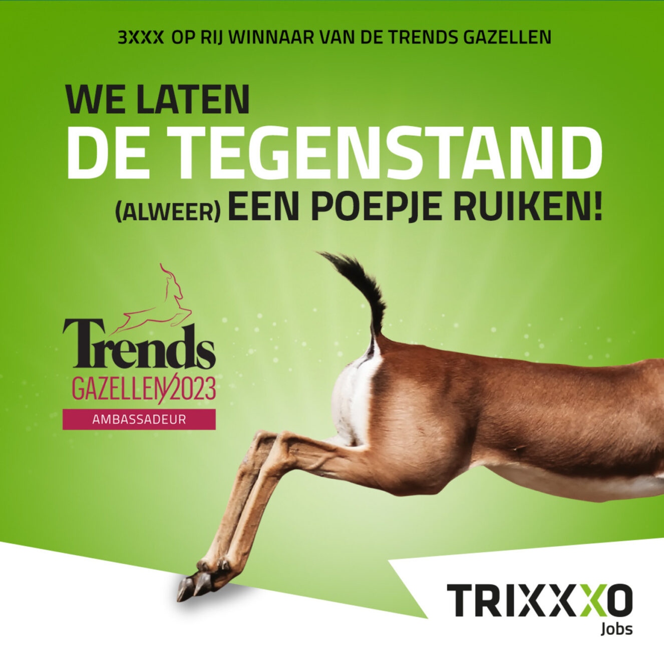 Een winnaars­campagne die eruit springt.